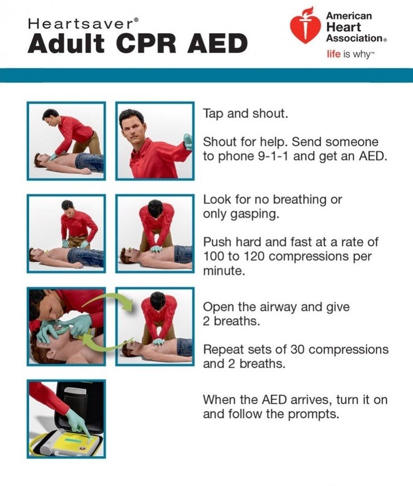 adult cpr